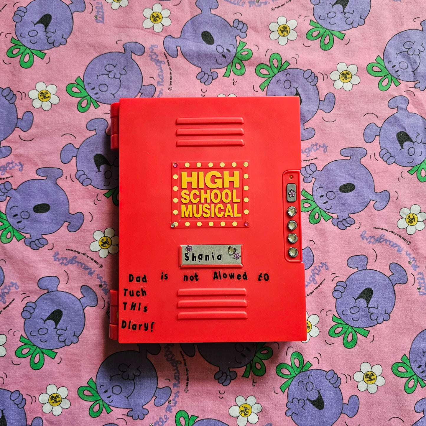 High School Musical Secret Journal (2008)