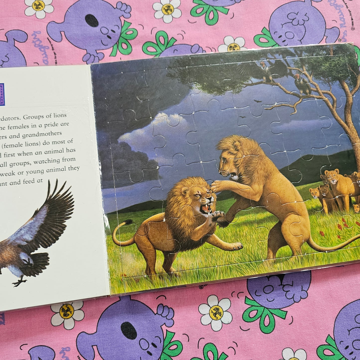 Jigsaw Safari (2001)