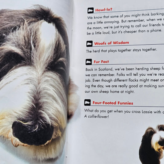 The Dog Guide to Life (2005)