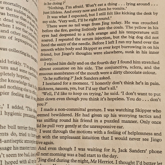 Vet in a Spin - James Herriot (1977)
