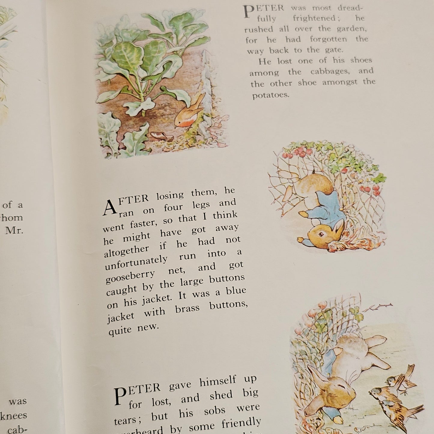 The Complete Adventures of Peter Rabbit (1982)