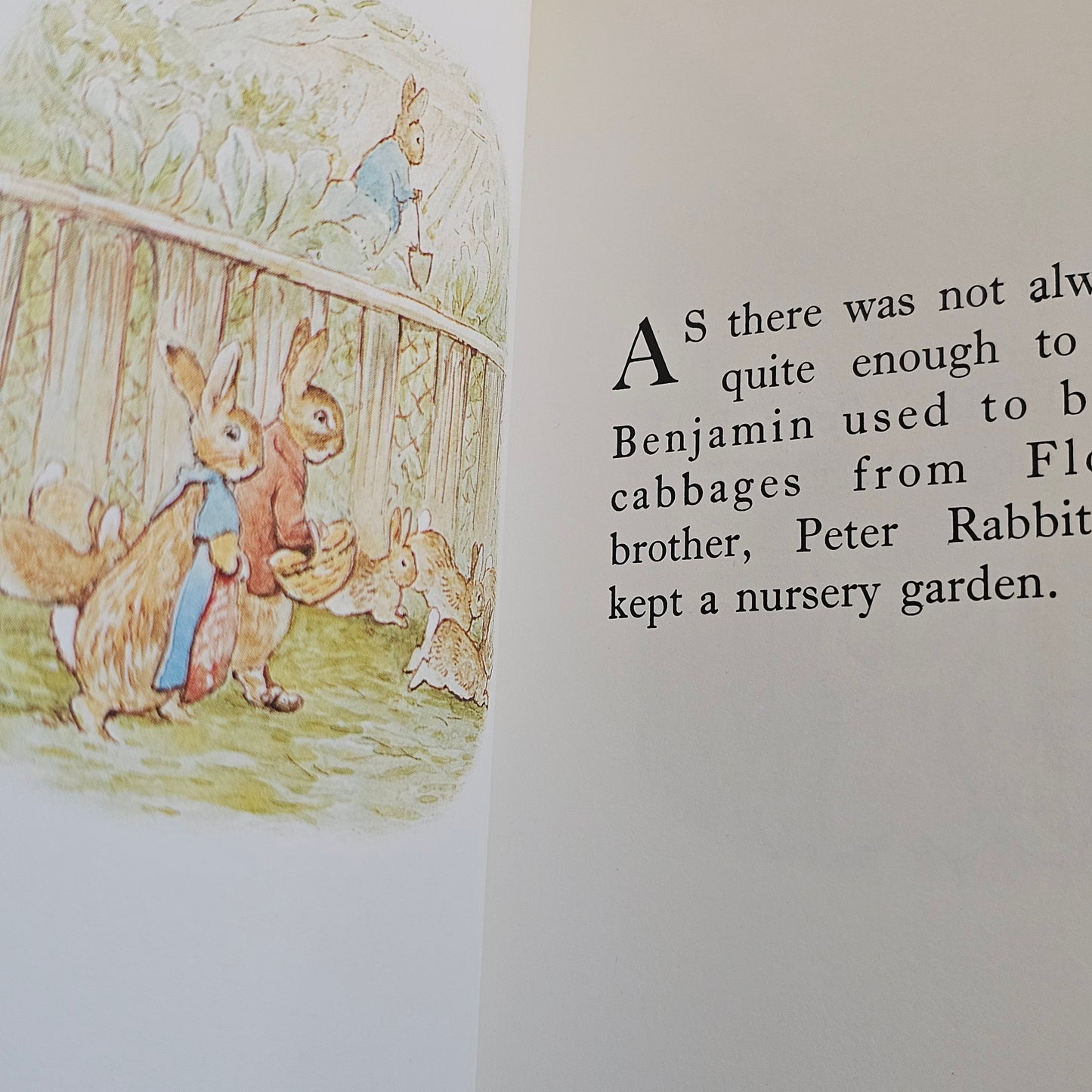 The Tale of the Flopsy Bunnies (1987)