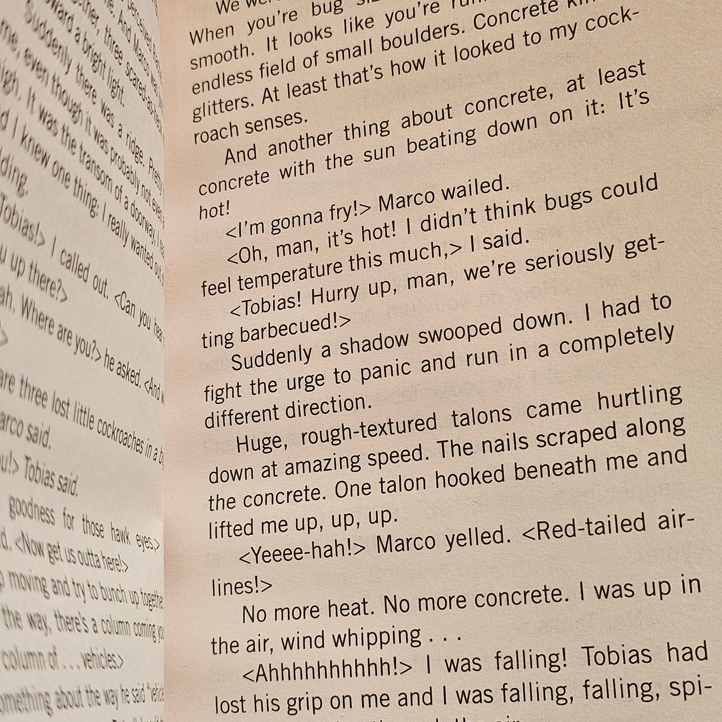 Animorphs #14: The Unknown (1998)