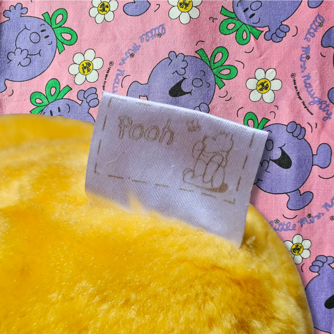Winnie the Pooh Plush