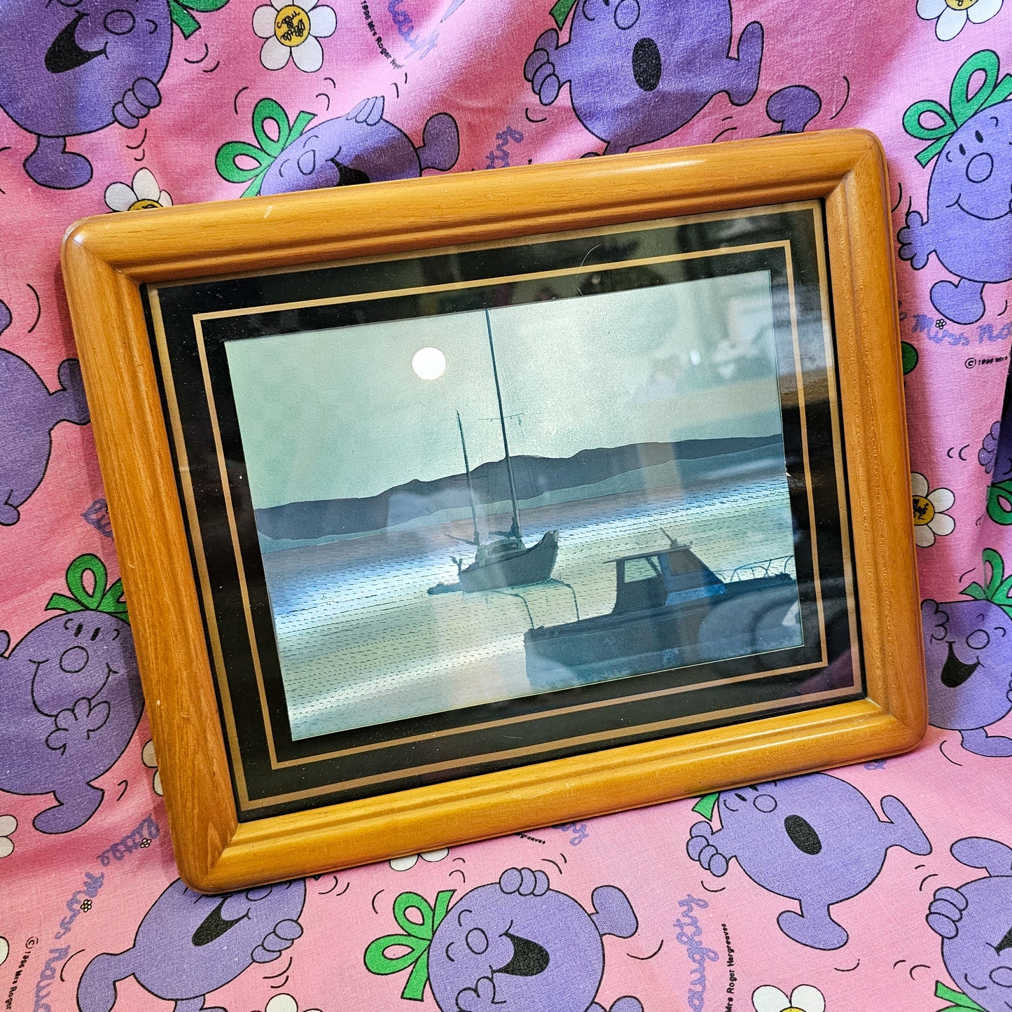 Dufex Sailboat Art Print