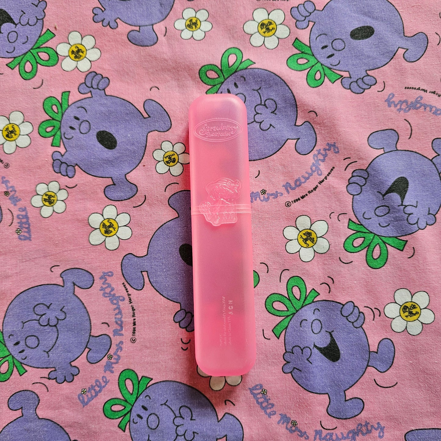 Strawberry Shortcake Pencil Case