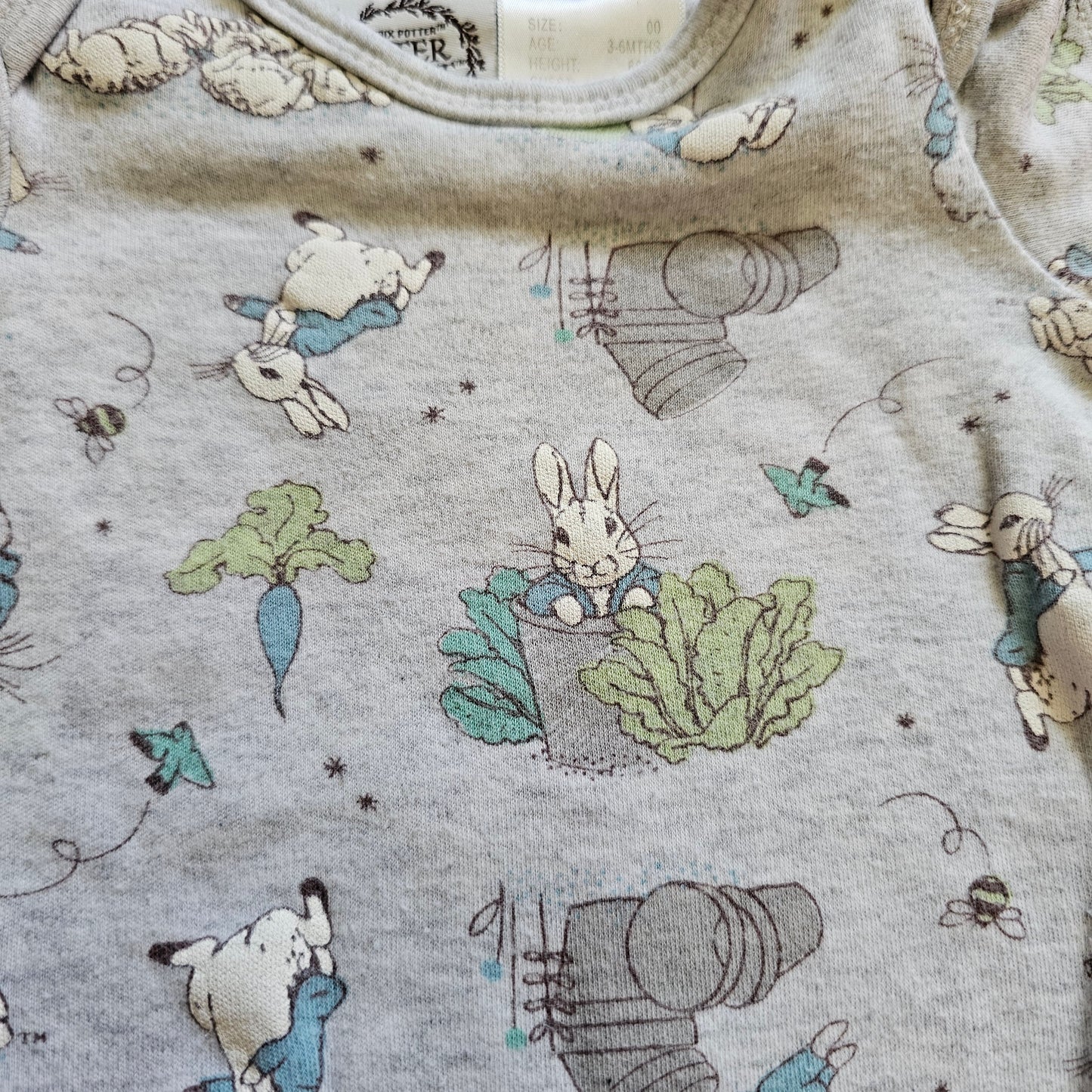 Peter Rabbit Bodysuit - Size 00