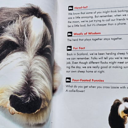 The Dog Guide to Life (2005)