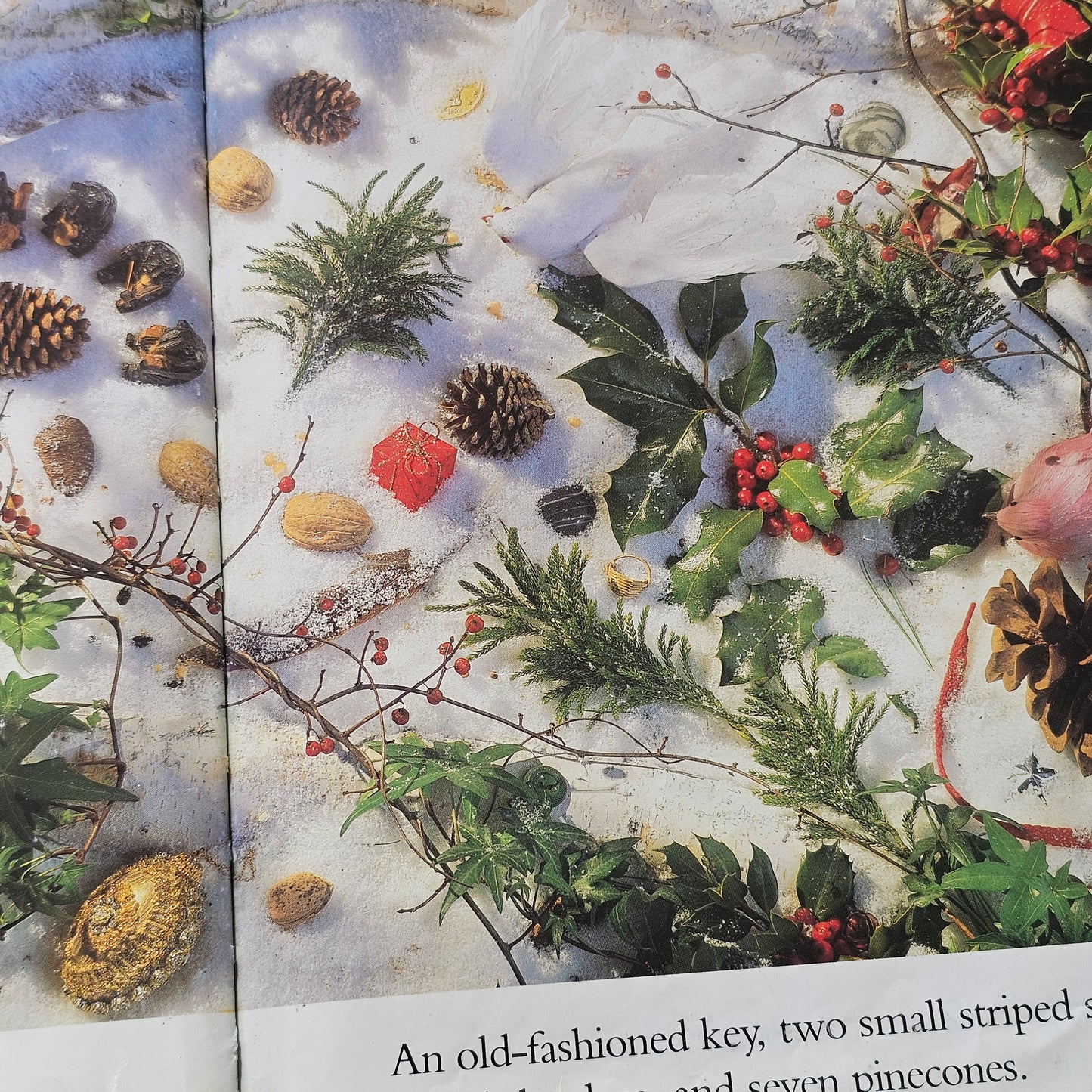 I Spy: Christmas (1992)