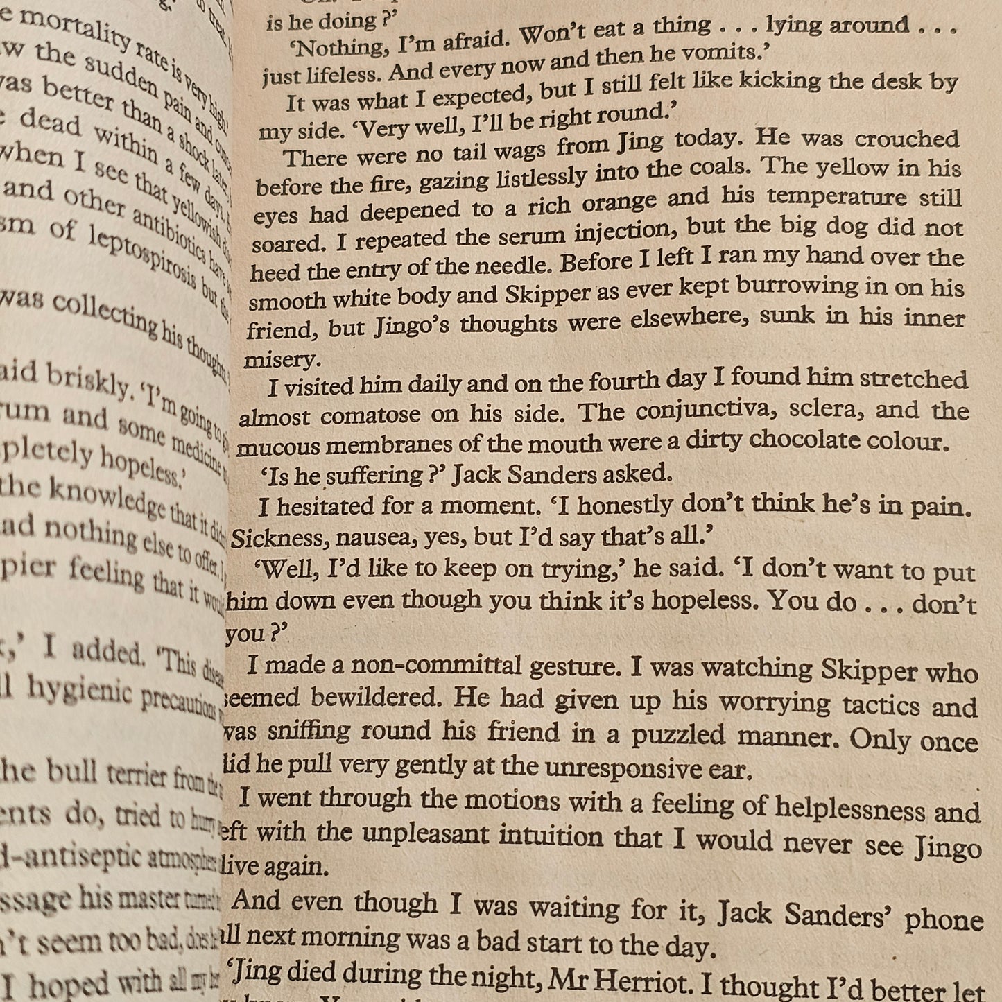 Vet in a Spin - James Herriot (1977)