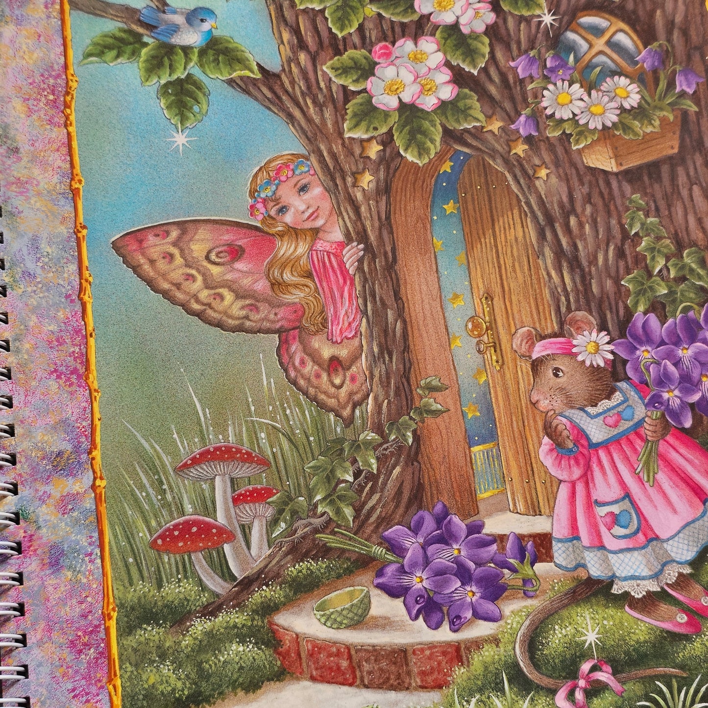 My First Book of Fairies - Shirley Barber (2008)