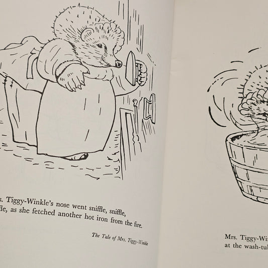Beatrix Potter's Painting Book 1 (1984)