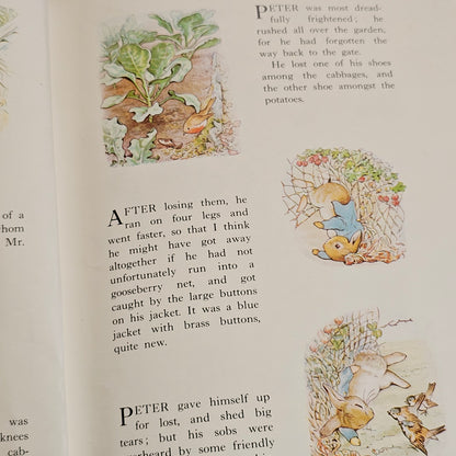 The Complete Adventures of Peter Rabbit (1982)