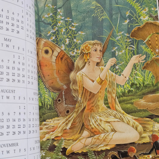 Shirley Barber's Fairies 2003 Diary