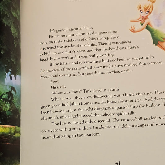 Disney Fairies: Story Collection (2011)