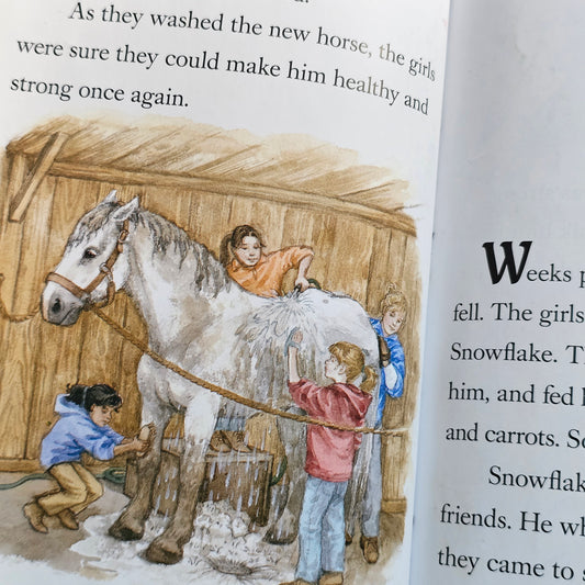 Breyer Stablemates: Snowflake (2006)