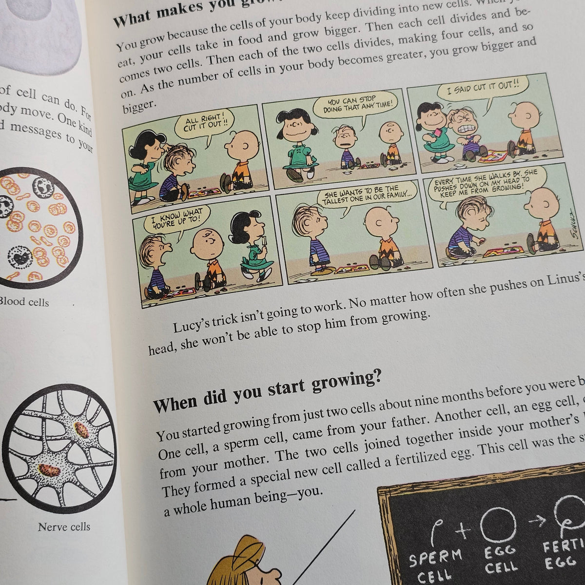 Charlie Brown's 'Cyclopedia Volume 1: Featuring Your Body (1980)