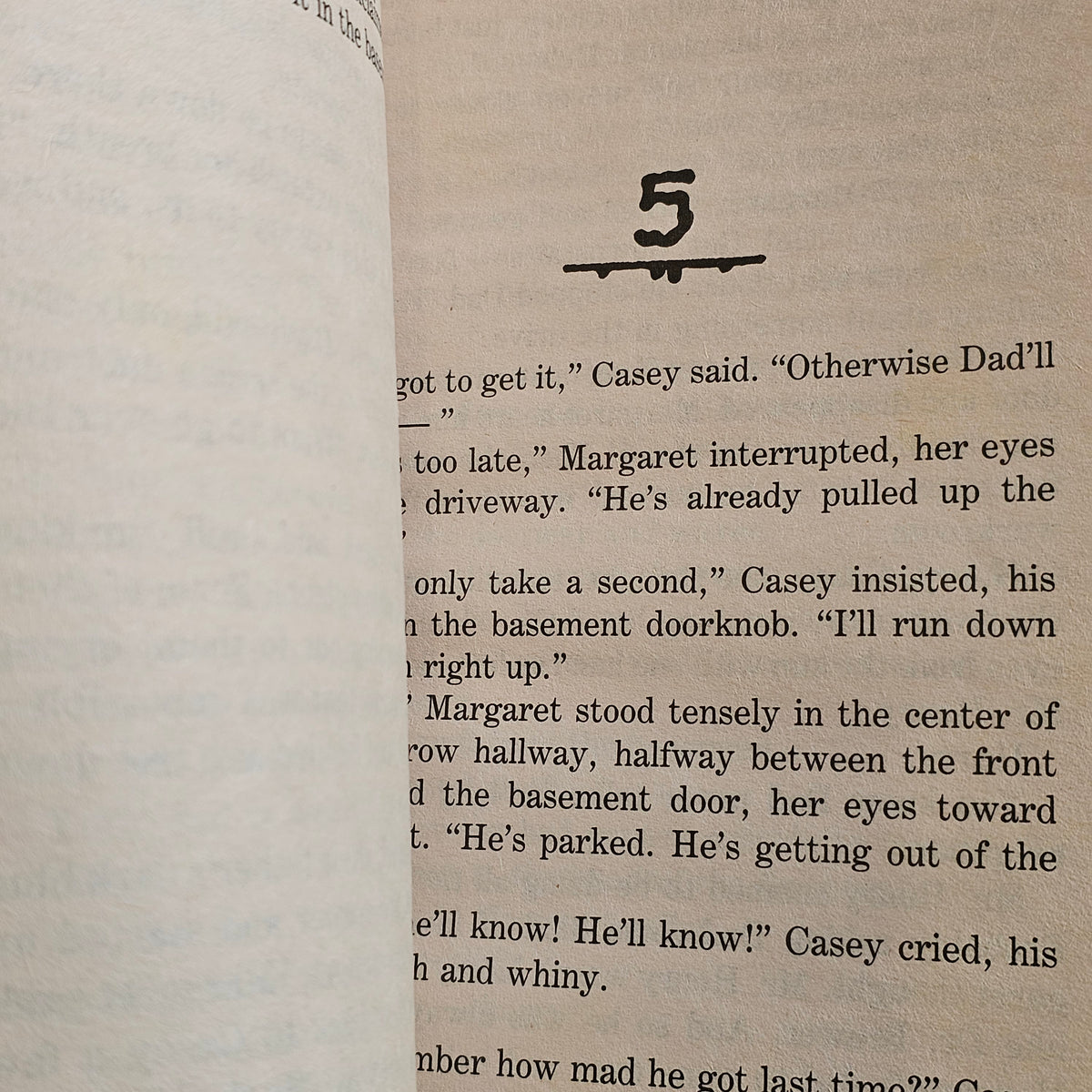 Goosebumps #2: Stay Out of the Basement (1992)