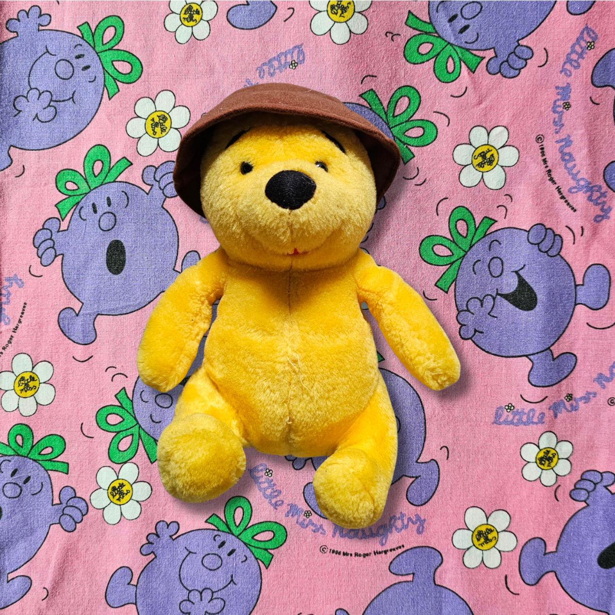Winnie the Pooh Plush