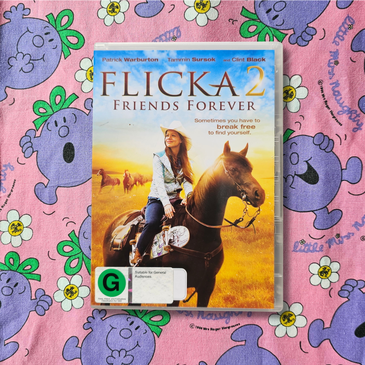 Flicka 2: Friends Forever DVD (2010)